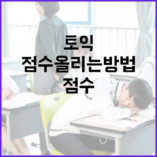 토익 점수 올리는 방법, 초보자가 8주 동안 흔들리지 않으려면 이렇게 - 요약