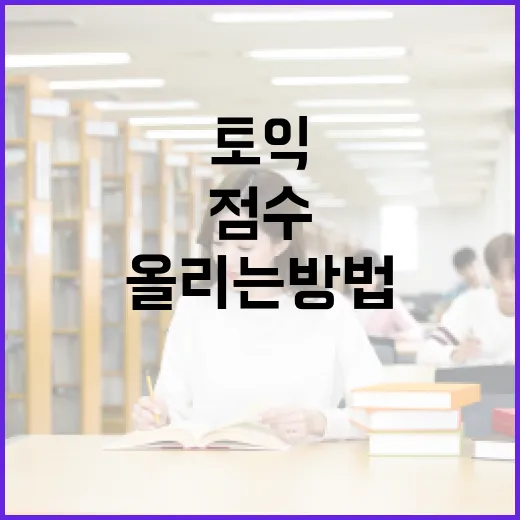 토익인강으로 점수 올리는 방법, 초보자가 8주 안에 루틴 잡으려면 이렇게 - 요약