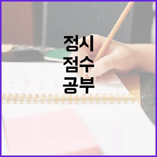 정시 준비하는 방법, 점수보다 먼저 잡아야 할 공부 시스템 - 요약