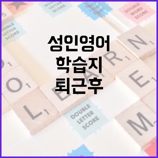 성인영어학습지 제대로 고르는 방법, 퇴근 후에도 밀리지 않게 시작하려면 - 요약