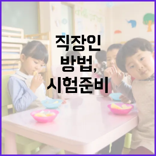 경감 시험 준비하는 방법, 직장인 수험생은 이렇게 굴려야 합니다 - 요약