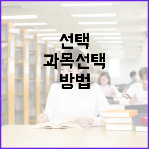 수능과목 선택하는 방법, 초보자는 이렇게 잡으면 덜 흔들립니다 - 요약