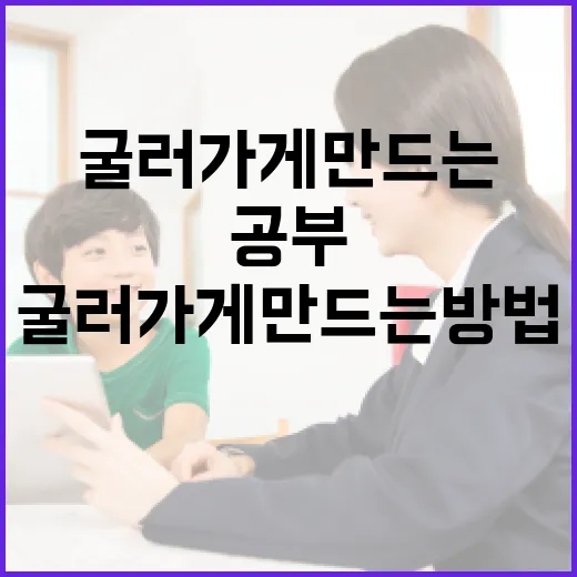 입시 공부를 꾸준히 굴러가게 만드는 방법 - 요약
