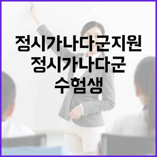 정시가나다군 지원하는 방법, 초보 수험생이 놓치기 쉬운 선택 기준 - 요약