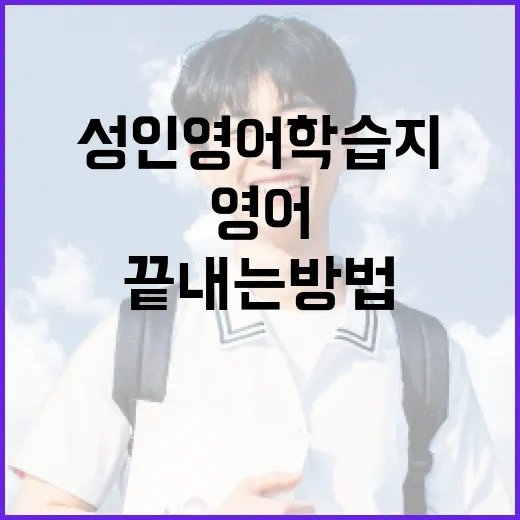 성인영어학습지 꾸준히 끝내는 방법, 초보자는 이렇게 시작하세요 - 요약