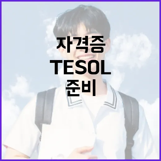TESOL자격증 준비하는 방법, 초보자가 먼저 확인할 5가지 - 요약
