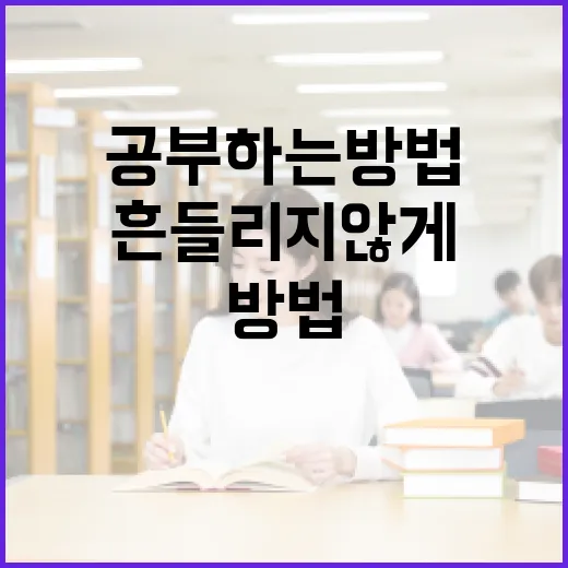 수능일정에 맞춰 흔들리지 않게 공부하는 방법 - 요약