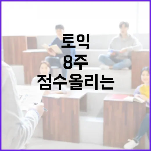 토익 점수 올리는 방법, 초보자가 8주 동안 꾸준히 굴리는 공부 시스템 - 요약
