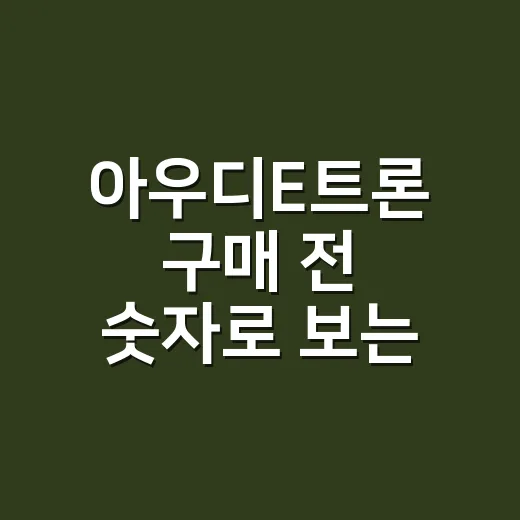 아우디E트론 구매 전 숫자로 보는 5가지 체크포인트 - 요약