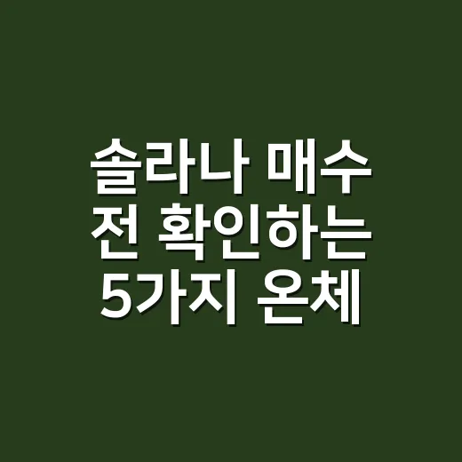 솔라나 매수 전 확인하는 5가지 온체인 숫자 - 요약