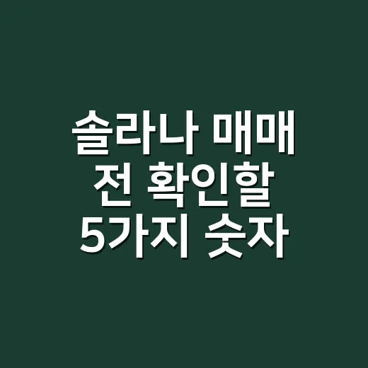 솔라나 매매 전 확인할 5가지 숫자 - 요약