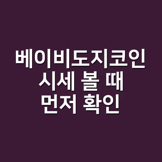 베이비도지코인 시세 볼 때 먼저 확인할 5가지 숫자 - 요약