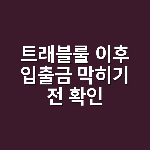 트래블룰 이후 입출금 막히기 전 확인할 5가지 숫자 - 요약
