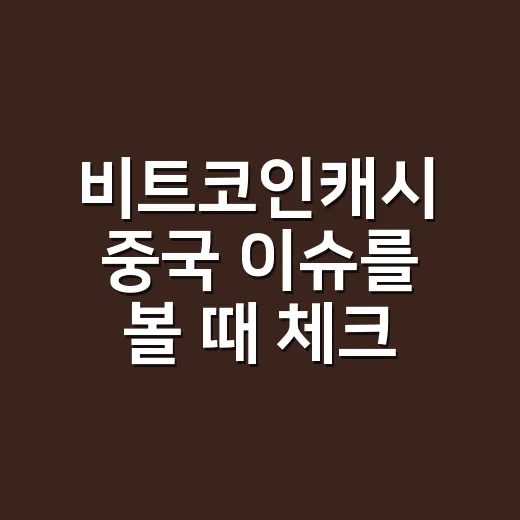 비트코인캐시 중국 이슈를 볼 때 체크할 5가지 데이터 - 요약