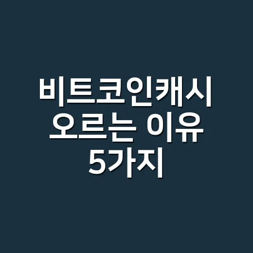 비트코인캐시 오르는 이유 5가지, 숫자로 보는 BCH 반등 신호 - 요약