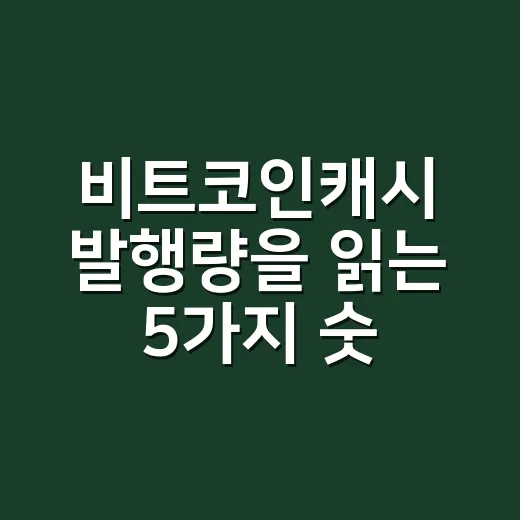 비트코인캐시 발행량을 읽는 5가지 숫자 - 요약