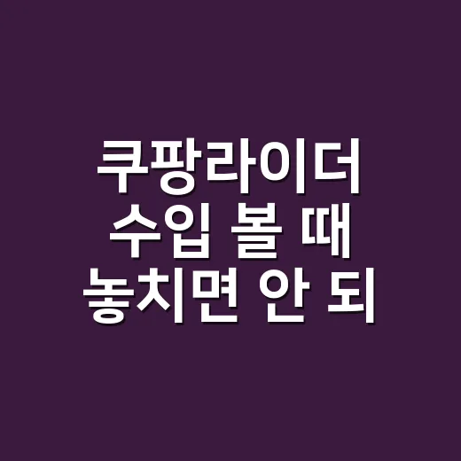 쿠팡라이더 수입 볼 때 놓치면 안 되는 5가지 숫자 - 요약