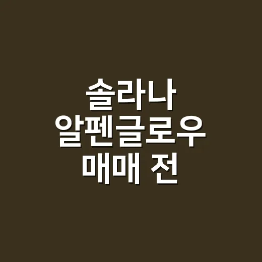 솔라나 알펜글로우 매매 전 확인할 5가지 숫자 - 요약