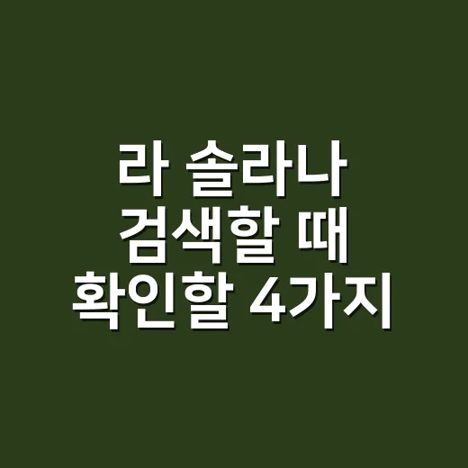 라 솔라나 검색할 때 확인할 4가지 숫자 - 요약