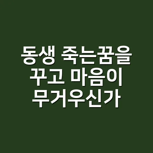 동생 죽는꿈을 꾸고 마음이 무거우신가요? - 요약