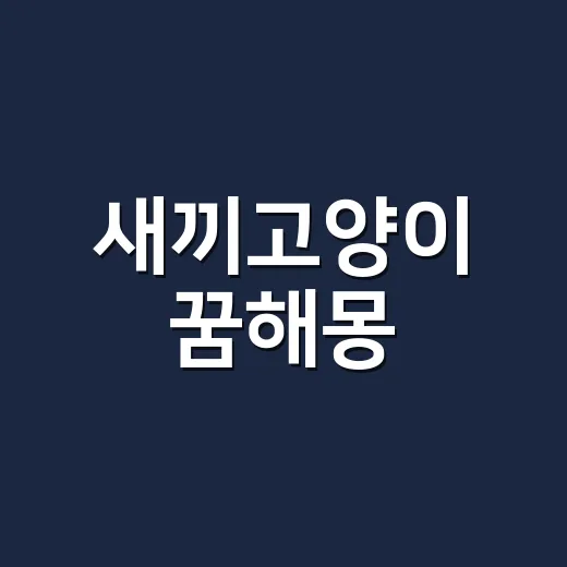 새끼고양이 꿈해몽, 귀여운데 왜 마음이 오래 남을까요? - 요약