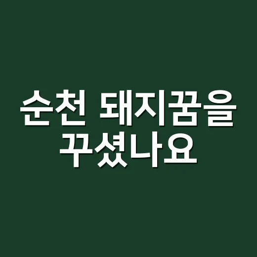 순천 돼지꿈을 꾸셨나요? 복꿈이라는 말만으로는 부족한 이유 - 요약