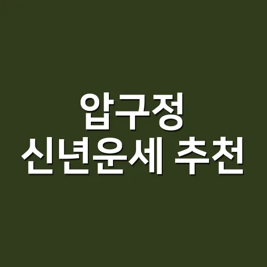 압구정 신년운세 추천, 어디를 봐야 마음이 덜 흔들릴까요? - 요약