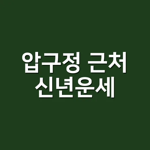 압구정 근처 신년운세, 왜 새해마다 더 궁금해질까요? - 요약
