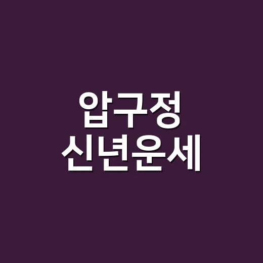 압구정 신년운세, 왜 새해가 되면 더 궁금해질까요? - 요약