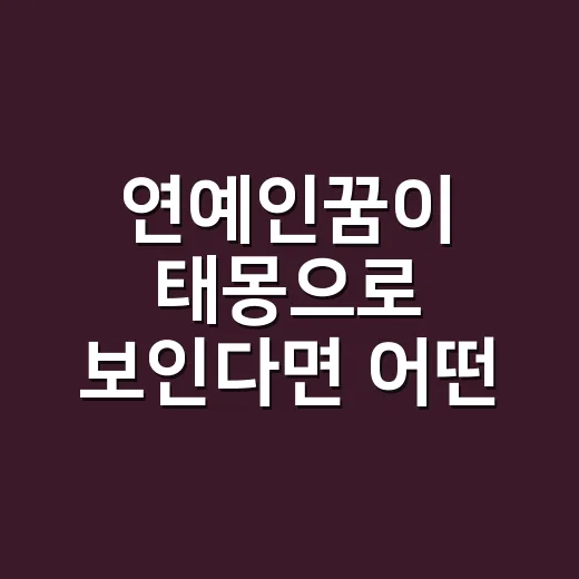 연예인꿈이 태몽으로 보인다면 어떤 뜻이 궁금하신가요? - 요약