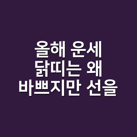 올해 운세 닭띠는 왜 ‘바쁘지만 선을 지켜야 하는 해’로 읽힐까요? - 요약
