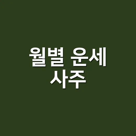 월별 운세 사주, 왜 같은 달도 사람마다 다르게 읽힐까요? - 요약