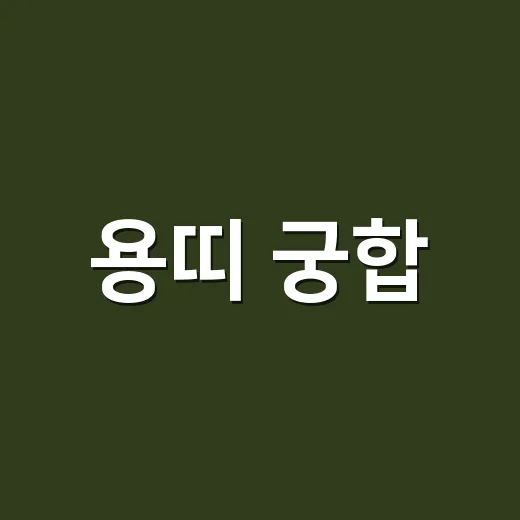 용띠 궁합, 왜 강한 사람끼리는 더 잘 맞기도 하고 부딪히기도 할까요? - 요약