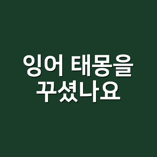 잉어 태몽을 꾸셨나요, 아이의 기운을 어떻게 읽어야 할까요? - 요약