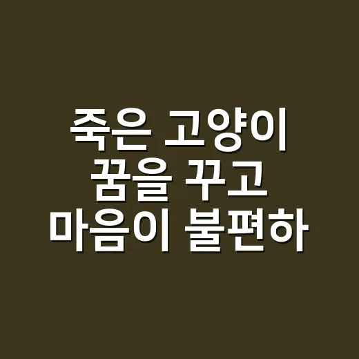 죽은 고양이 꿈을 꾸고 마음이 불편하신가요? - 요약