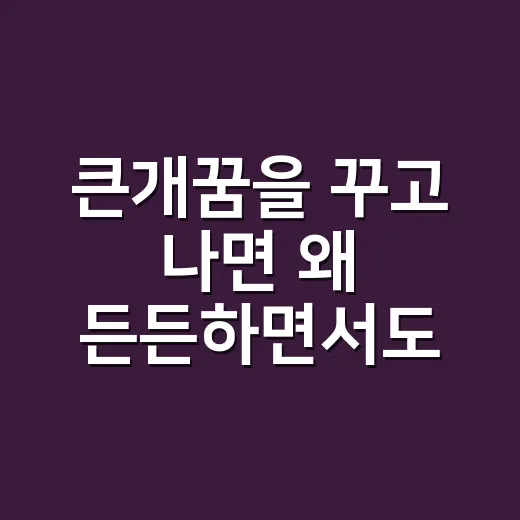 큰개꿈을 꾸고 나면 왜 든든하면서도 불안할까요? - 요약