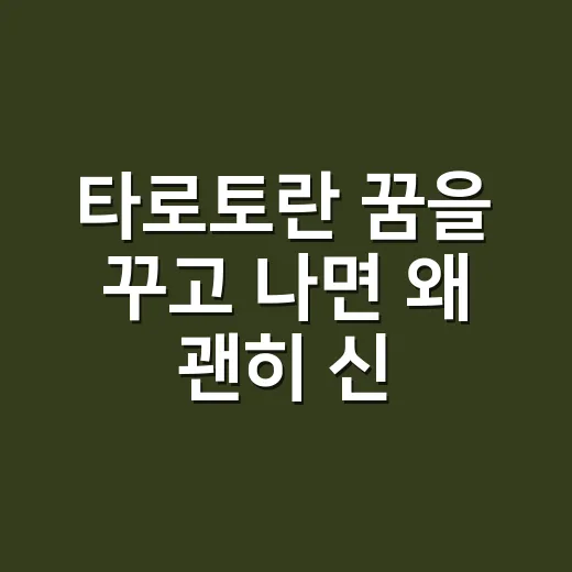 타로토란 꿈을 꾸고 나면 왜 괜히 신경이 쓰일까요? - 요약