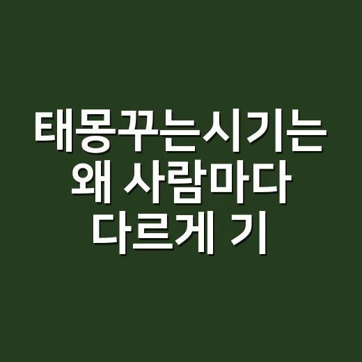 태몽꾸는시기는 왜 사람마다 다르게 기억될까요? - 요약