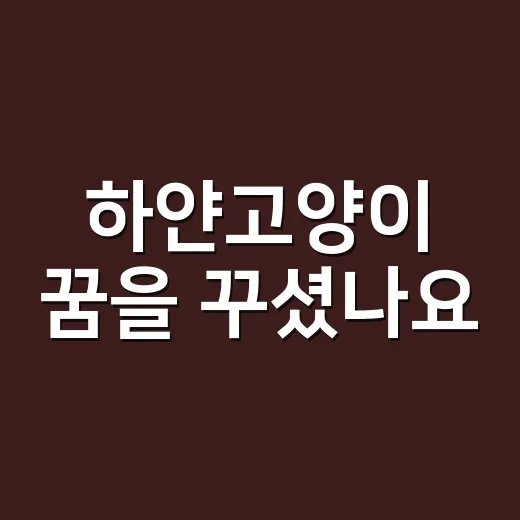 하얀고양이 꿈을 꾸셨나요? 길한 징조일 때와 조심스럽게 읽을 때는 왜 다를까요? - 요약