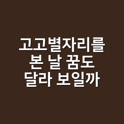 고고별자리를 본 날 꿈도 달라 보일까요? - 요약