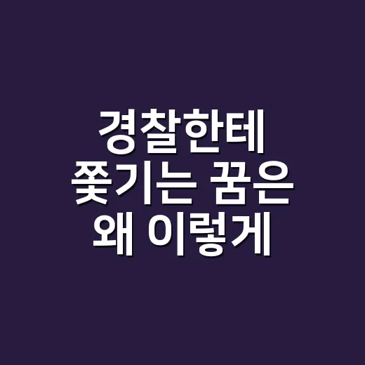 경찰한테 쫓기는 꿈은 왜 이렇게 생생할까요? - 요약