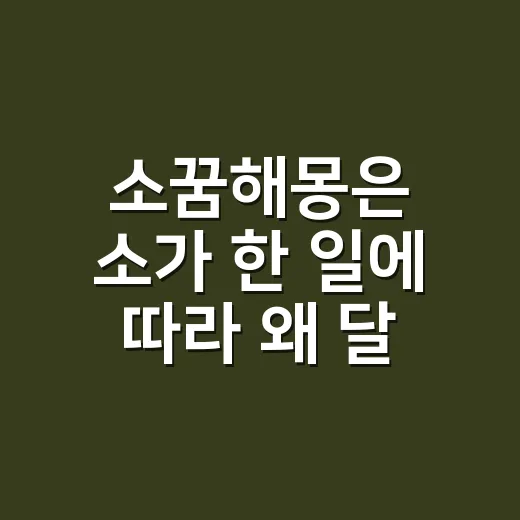 소꿈해몽은 소가 한 일에 따라 왜 달라질까요? - 요약