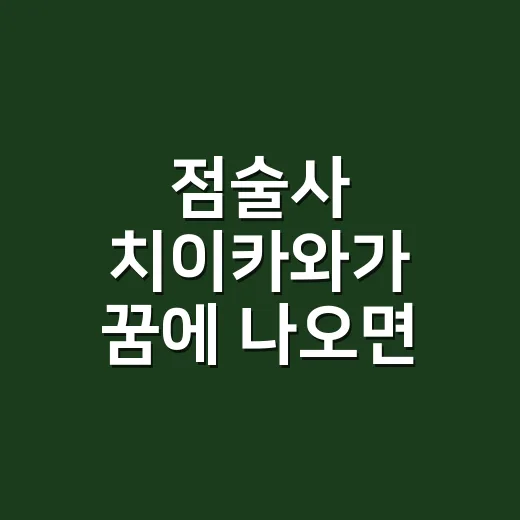 점술사 치이카와가 꿈에 나오면 무슨 뜻일까요? - 요약