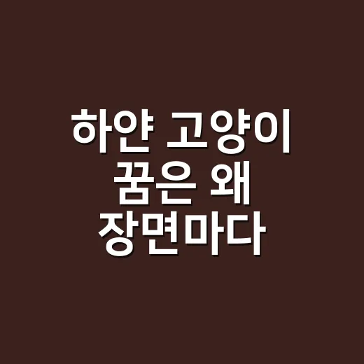 하얀 고양이 꿈은 왜 장면마다 다르게 읽힐까요? - 요약