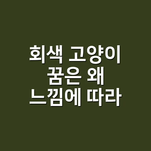 회색 고양이 꿈은 왜 느낌에 따라 달라질까요? - 요약