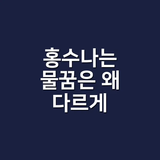 홍수나는 물꿈은 왜 다르게 읽힐까요? - 요약
