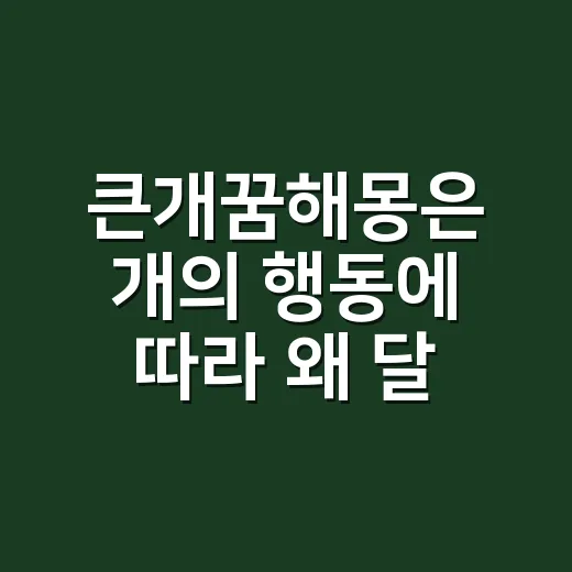 큰개꿈해몽은 개의 행동에 따라 왜 달라질까요? - 요약
