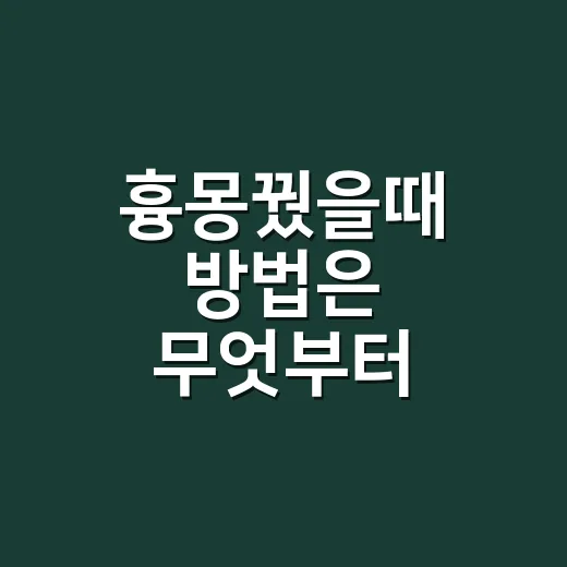 흉몽꿨을때 방법은 무엇부터 시작할까요? - 요약