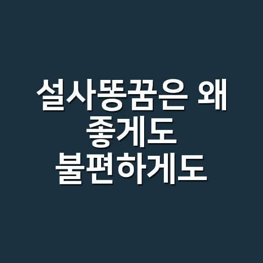 설사똥꿈은 왜 좋게도 불편하게도 읽힐까요? - 요약