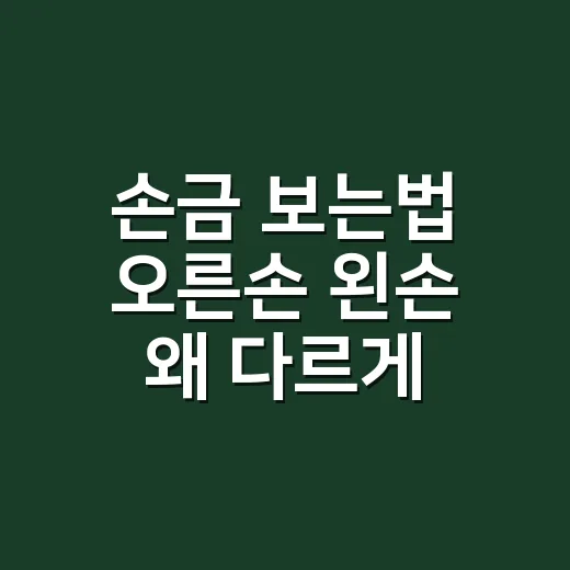 손금 보는법 오른손 왼손 왜 다르게 읽을까요? - 요약